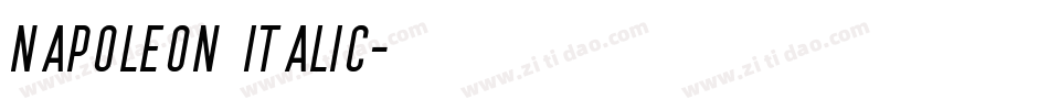Napoleon Italic字体转换